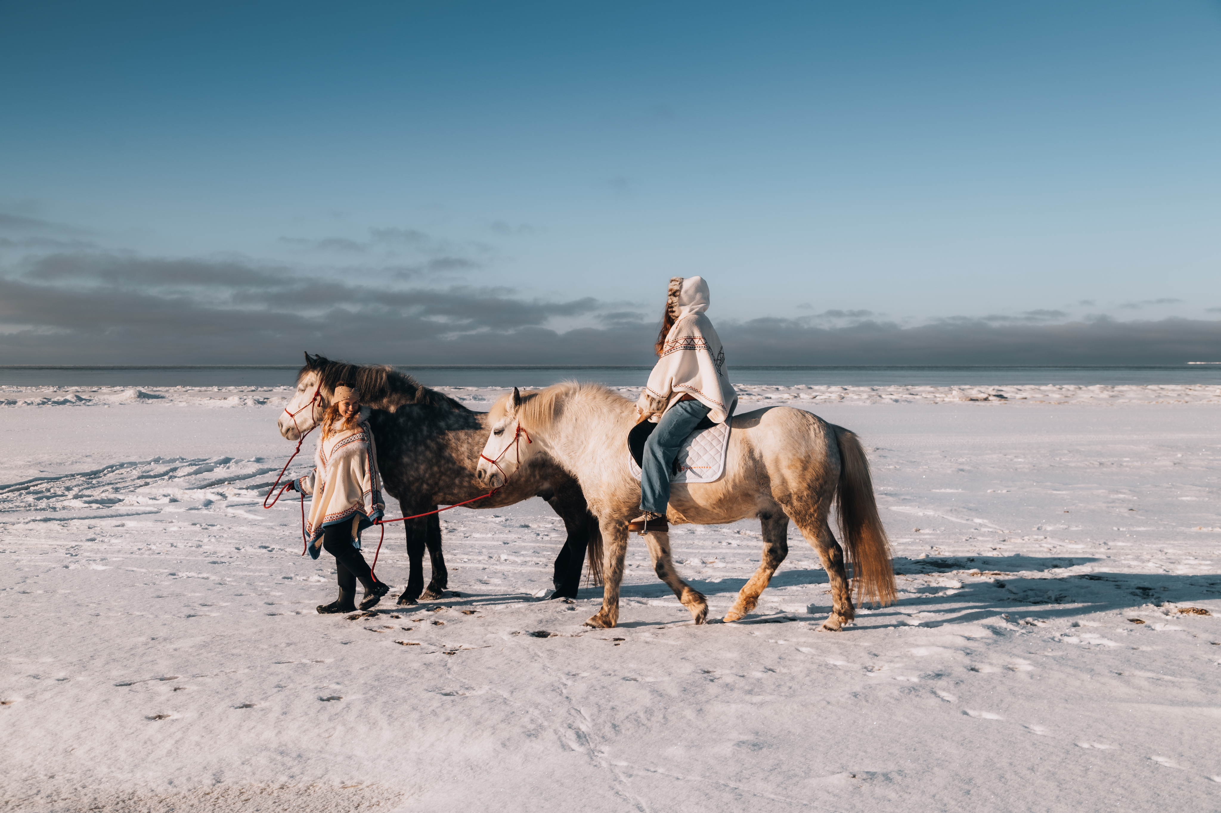 Horses on the beach at sunset